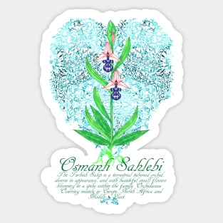 Osmanlı Sahlebi Sticker